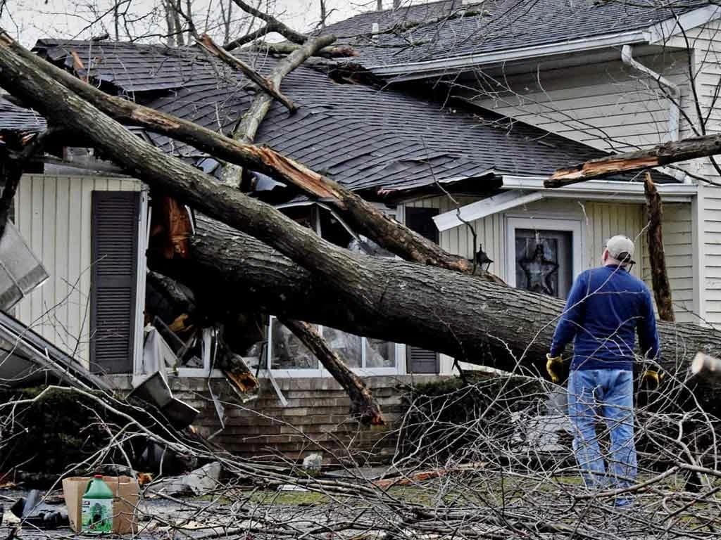 Large tree fallen across a house roof after a severe storm